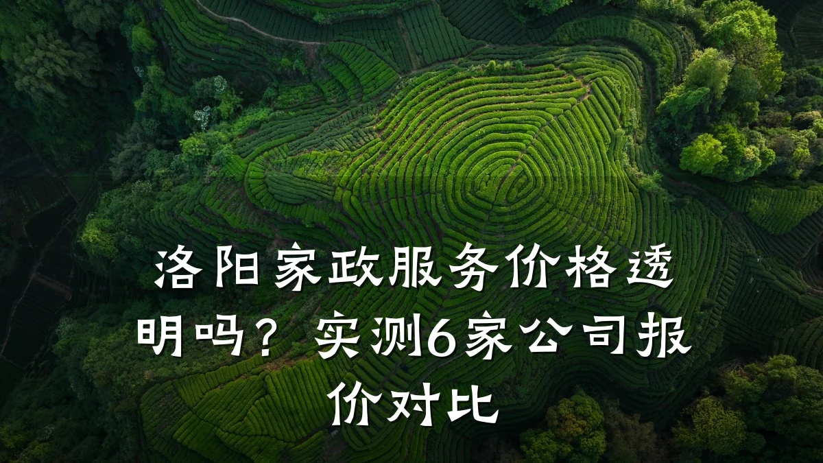 洛阳家政服务价格透明吗？实测6家公司报价对比