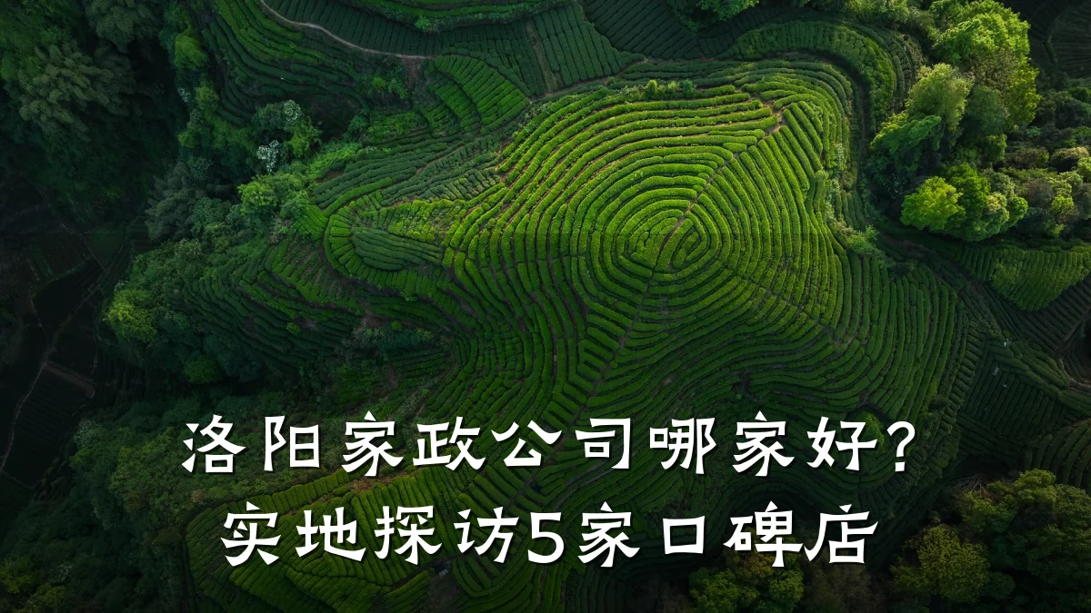 洛阳家政公司哪家好？实地探访5家口碑店