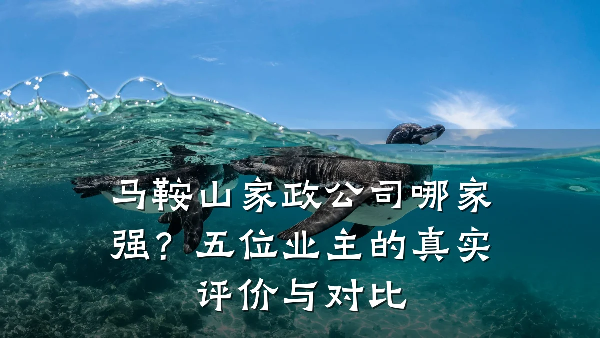 马鞍山家政公司哪家强？五位业主的真实评价与对比