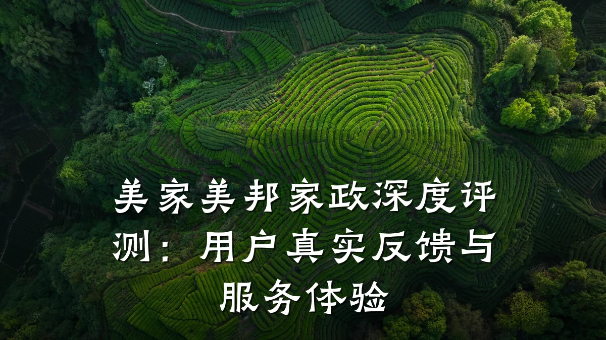 美家美邦家政深度评测：用户真实反馈与服务体验