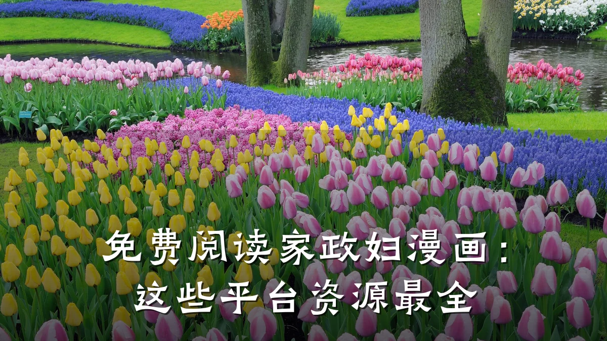 免费阅读家政妇漫画：这些平台资源最全