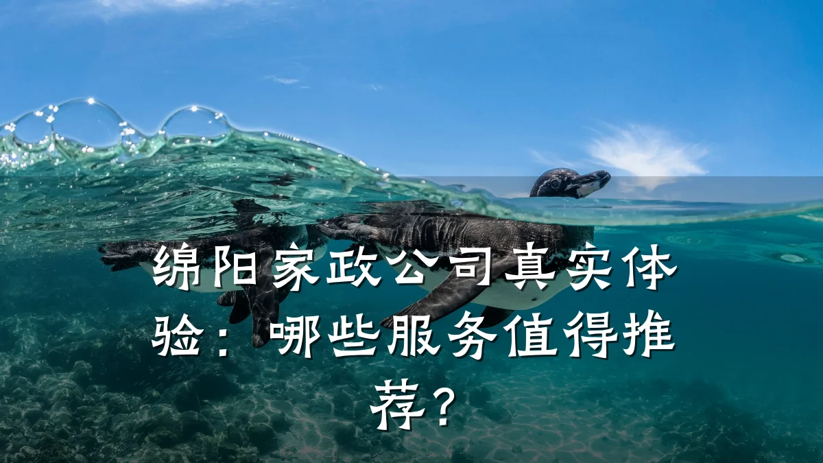绵阳家政公司真实体验：哪些服务值得推荐？