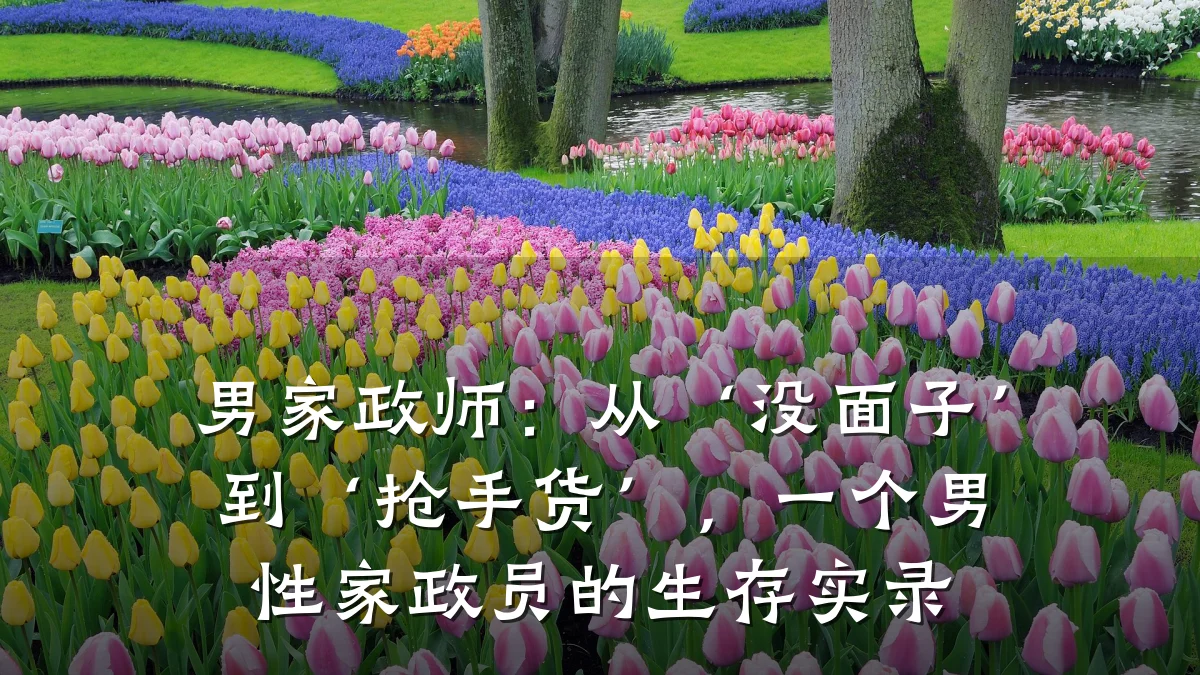 男家政师：从‘没面子’到‘抢手货’，一个男性家政员的生存实录