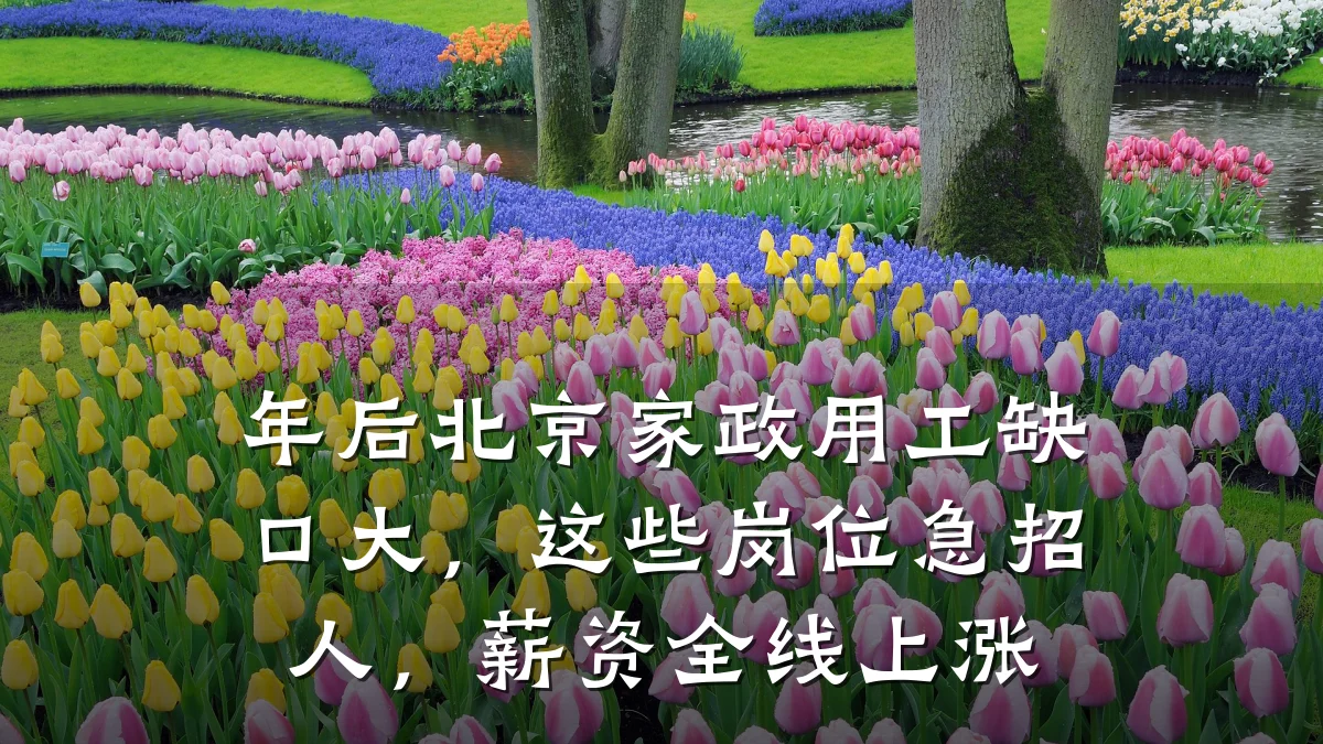 年后北京家政用工缺口大，这些岗位急招人，薪资全线上涨