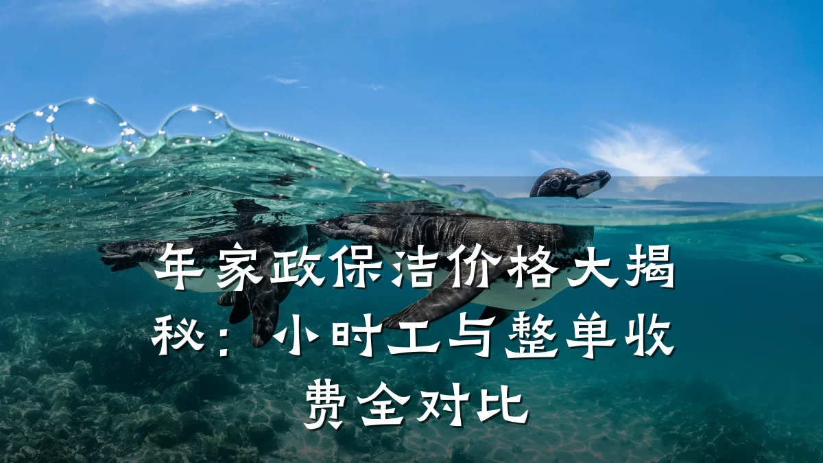年家政保洁价格大揭秘：小时工与整单收费全对比