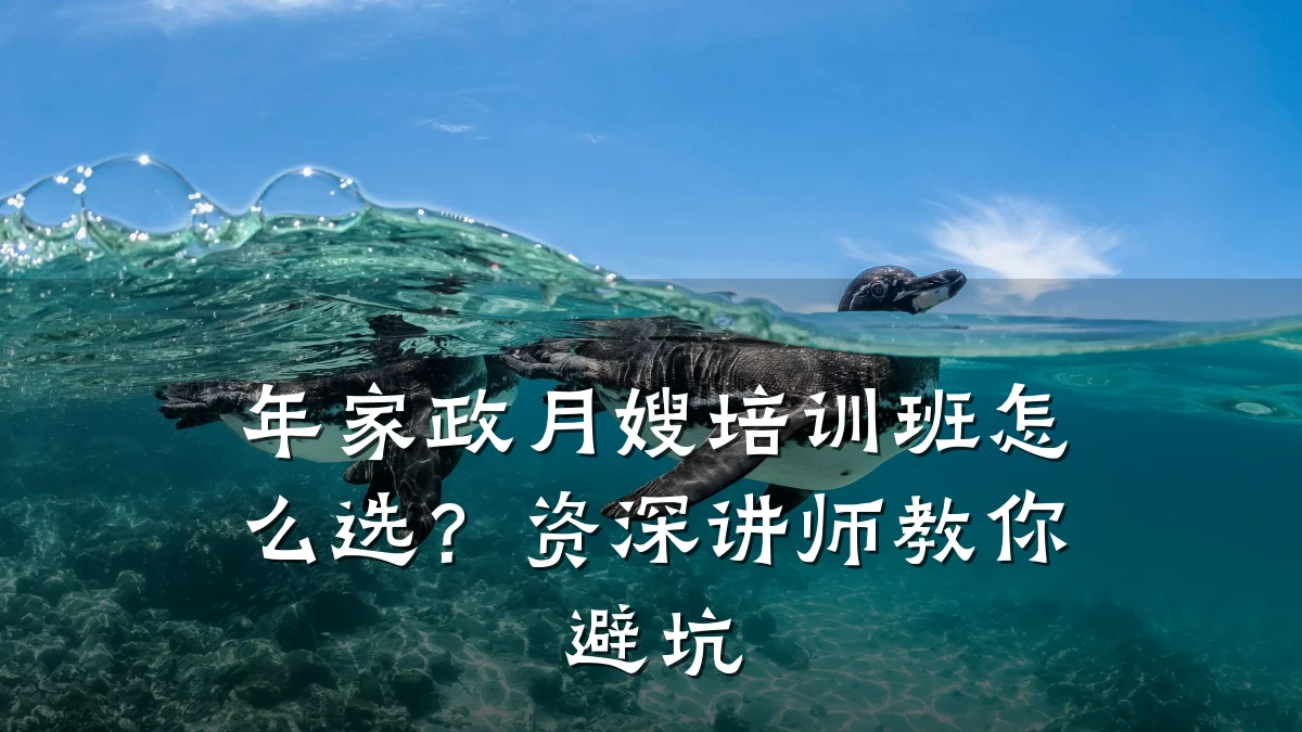 年家政月嫂培训班怎么选？资深讲师教你避坑