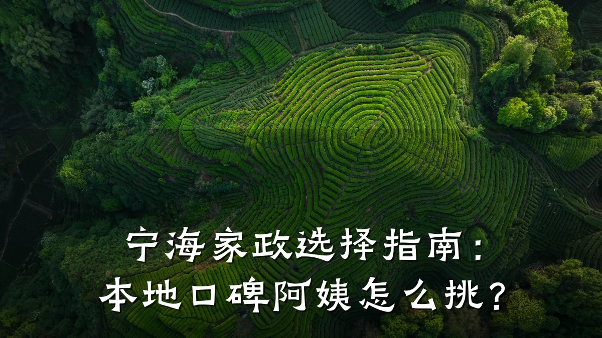 宁海家政选择指南：本地口碑阿姨怎么挑？