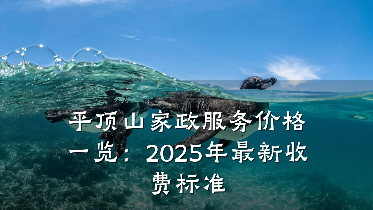 平顶山家政服务价格一览：2025年最新收费标准