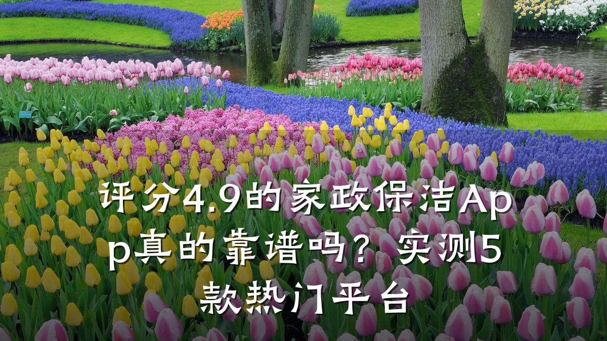 评分4.9的家政保洁App真的靠谱吗？实测5款热门平台