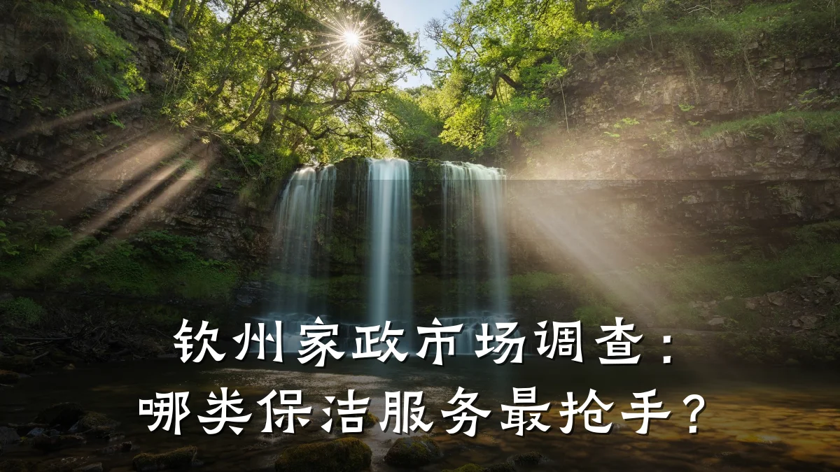 钦州家政市场调查：哪类保洁服务最抢手？
