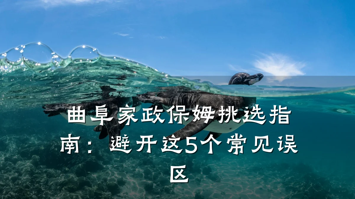 曲阜家政保姆挑选指南：避开这5个常见误区
