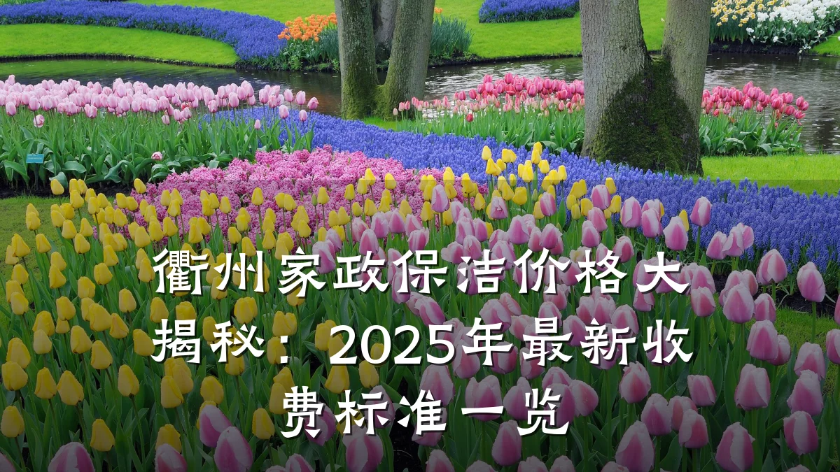 衢州家政保洁价格大揭秘：2025年最新收费标准一览