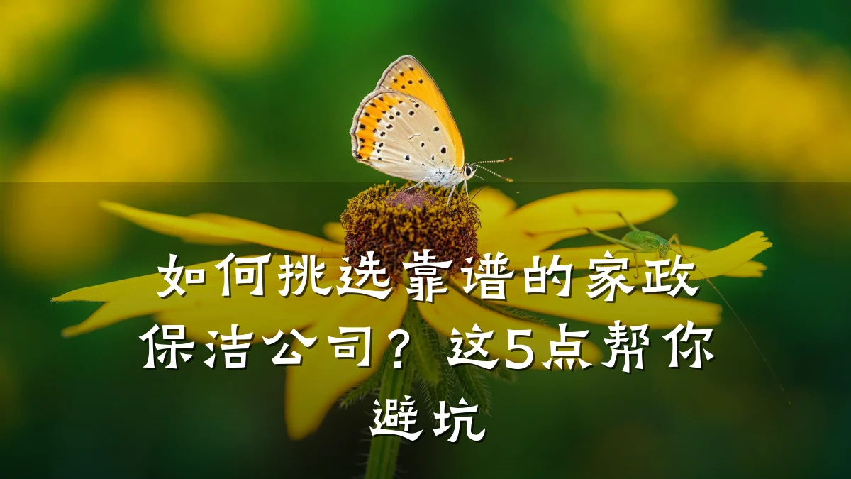 如何挑选靠谱的家政保洁公司？这5点帮你避坑
