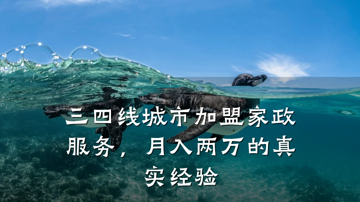 三四线城市加盟家政服务，月入两万的真实经验
