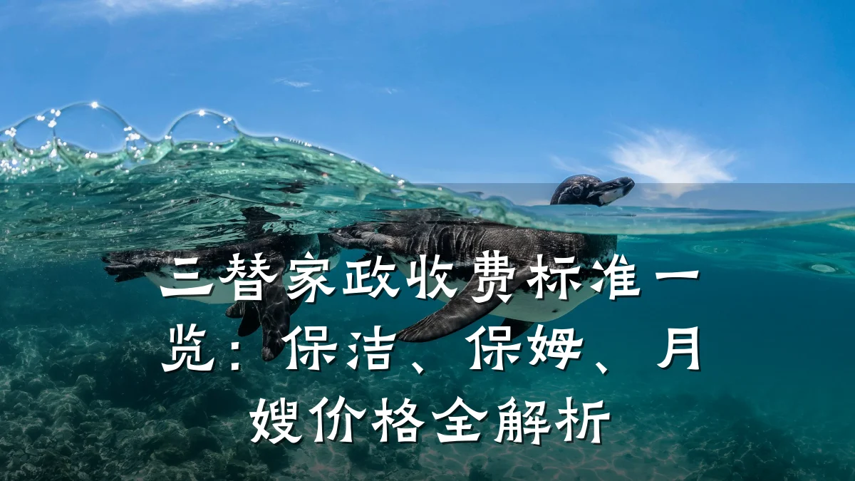 三替家政收费标准一览：保洁、保姆、月嫂价格全解析