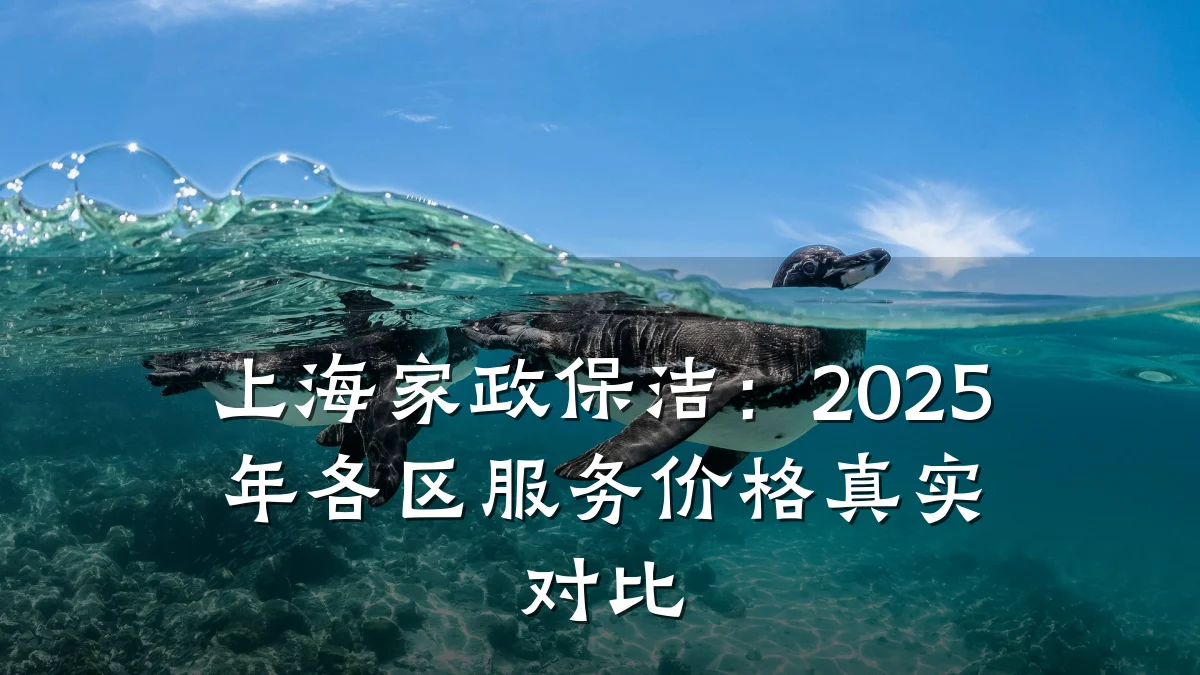 上海家政保洁：2025年各区服务价格真实对比