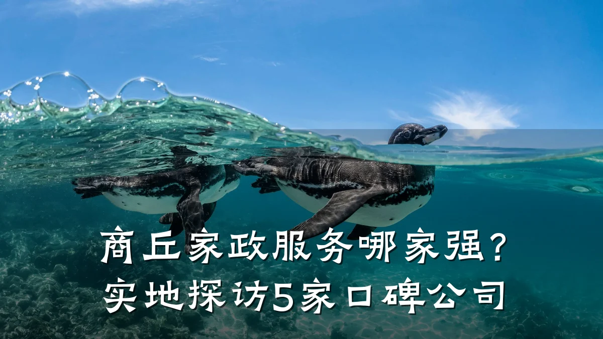 商丘家政服务哪家强？实地探访5家口碑公司