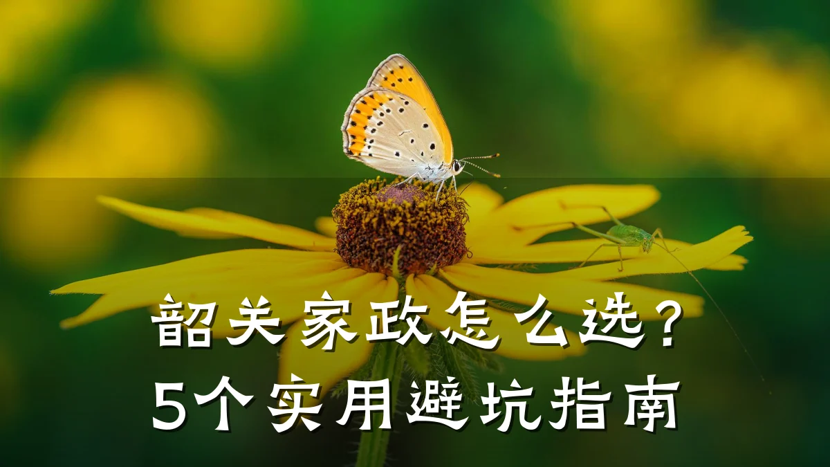 韶关家政怎么选？5个实用避坑指南