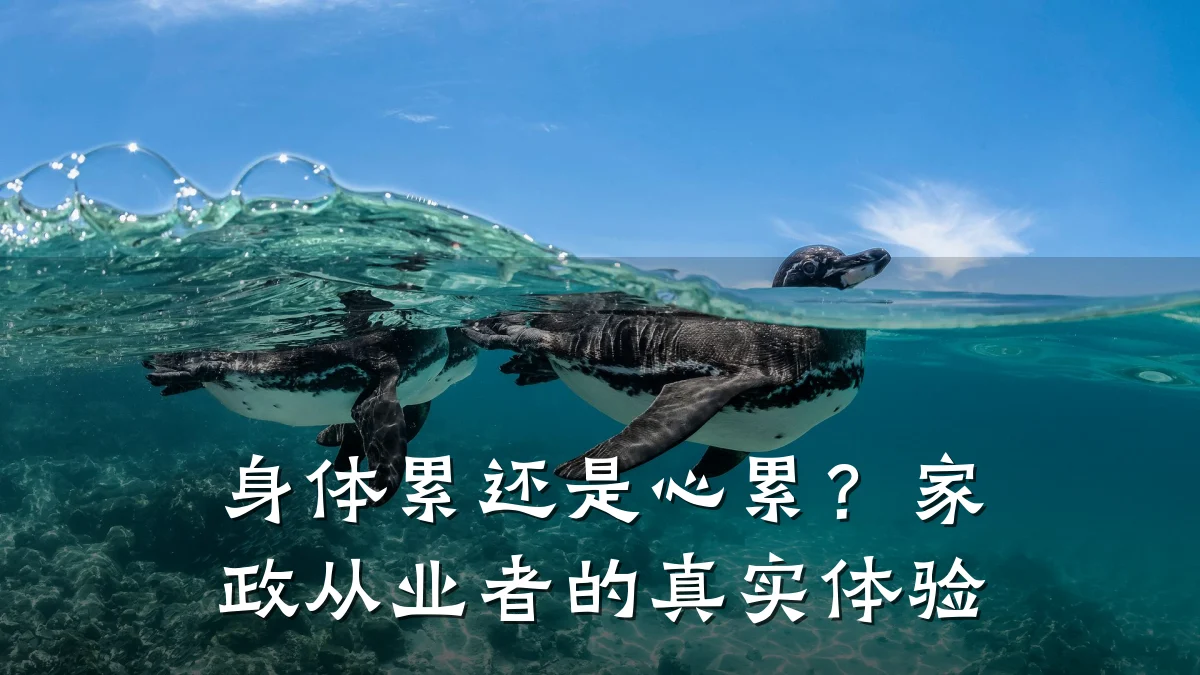 身体累还是心累？家政从业者的真实体验