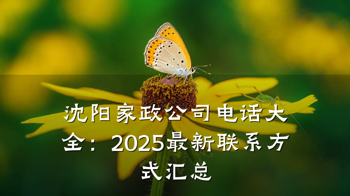 沈阳家政公司电话大全：2025最新联系方式汇总