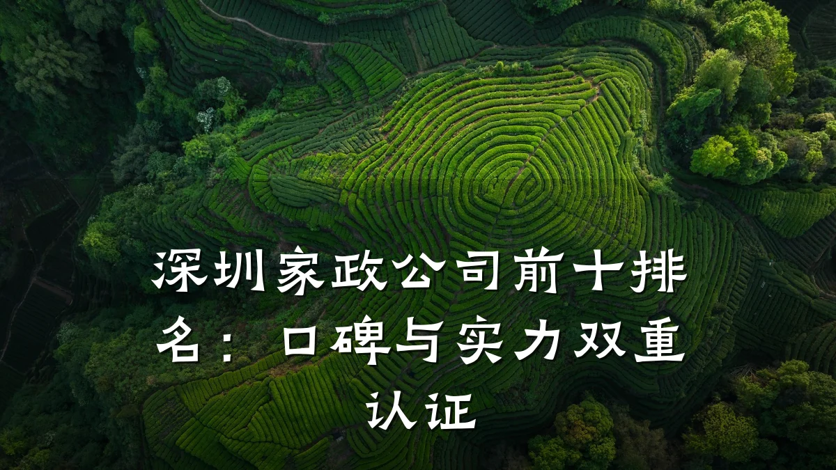 深圳家政公司前十排名：口碑与实力双重认证