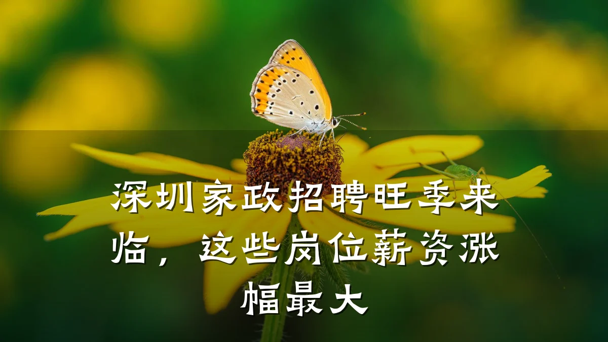 深圳家政招聘旺季来临，这些岗位薪资涨幅最大