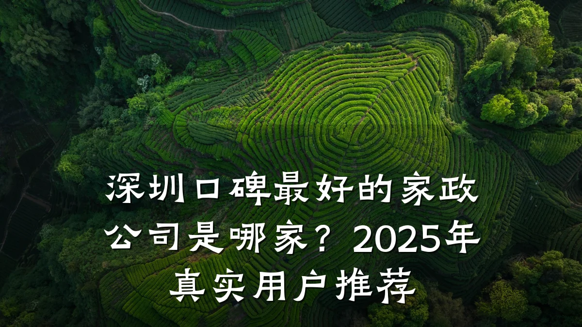 深圳口碑最好的家政公司是哪家？2025年真实用户推荐