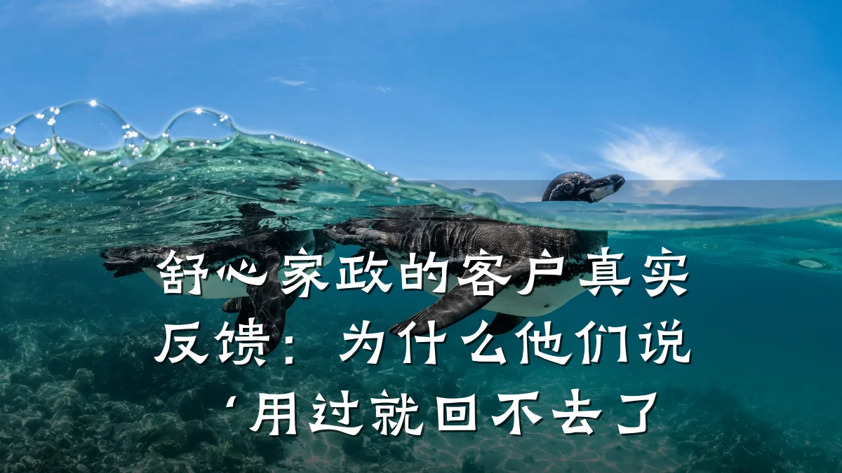 舒心家政的客户真实反馈：为什么他们说‘用过就回不去了