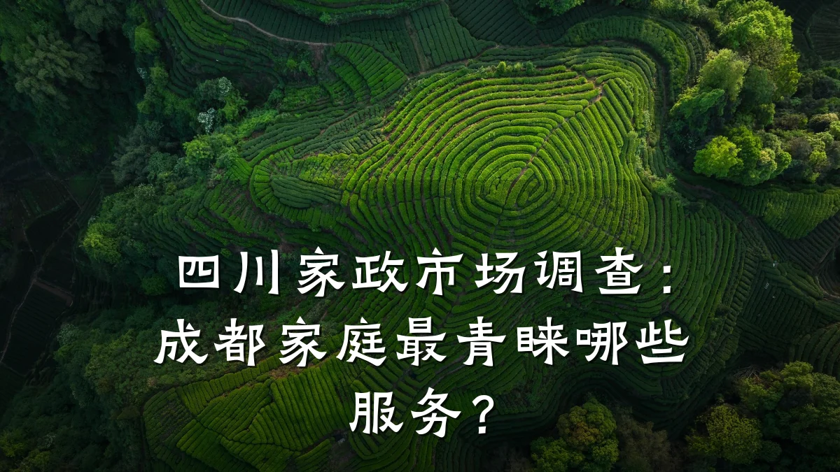 四川家政市场调查：成都家庭最青睐哪些服务？