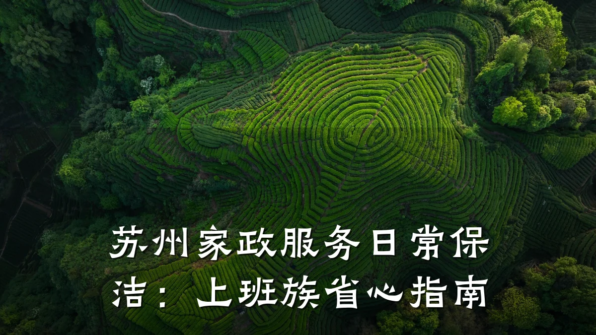 苏州家政服务日常保洁：上班族省心指南