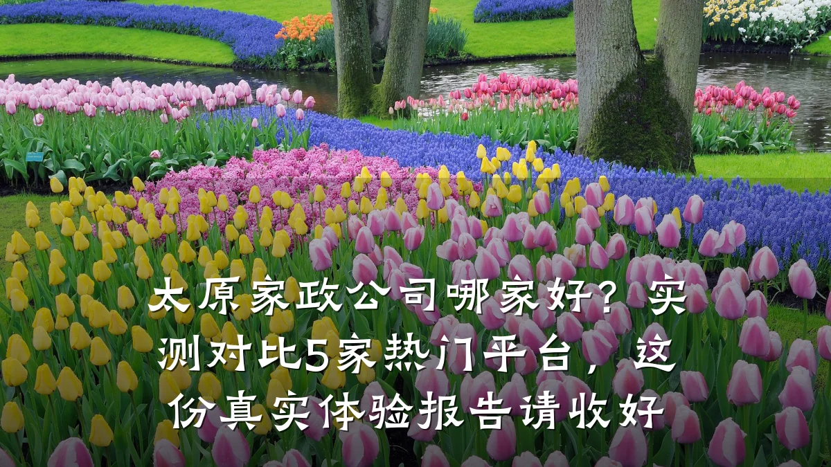 太原家政公司哪家好？实测对比5家热门平台，这份真实体验报告请收好