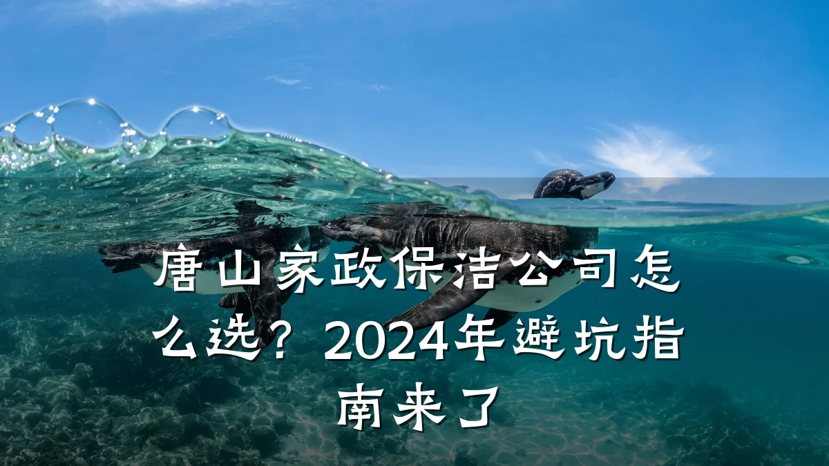 唐山家政保洁公司怎么选？2024年避坑指南来了