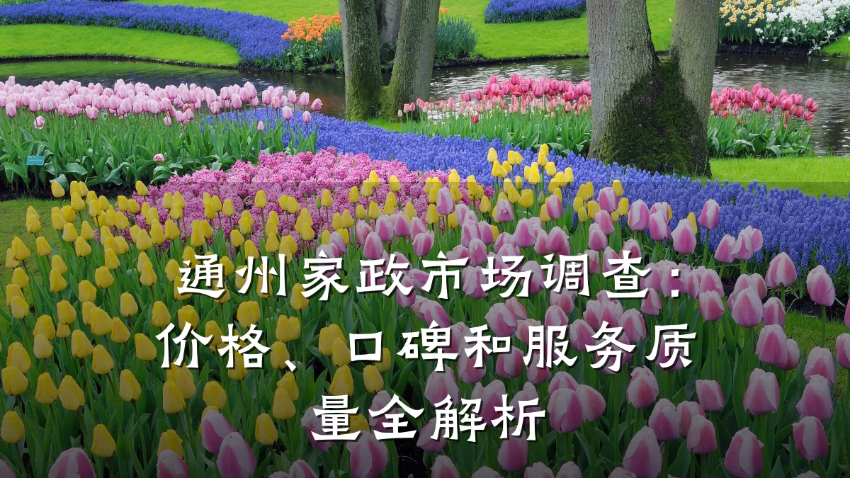 通州家政市场调查：价格、口碑和服务质量全解析