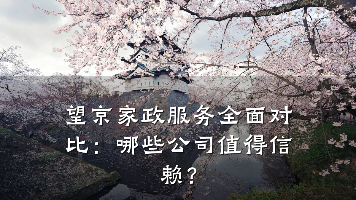 望京家政服务全面对比：哪些公司值得信赖？
