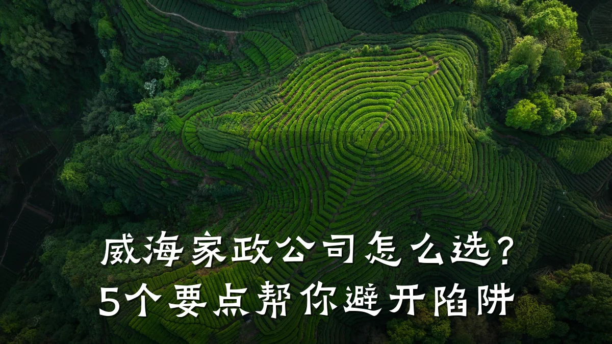 威海家政公司怎么选？5个要点帮你避开陷阱