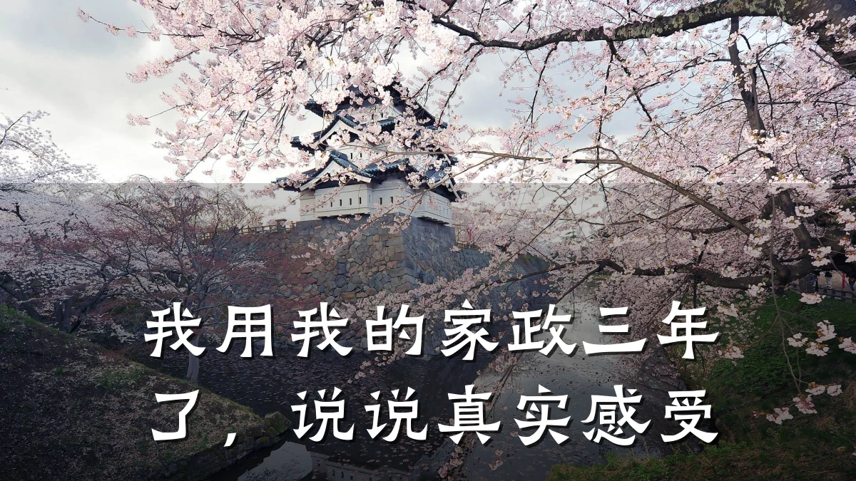 我用我的家政三年了，说说真实感受