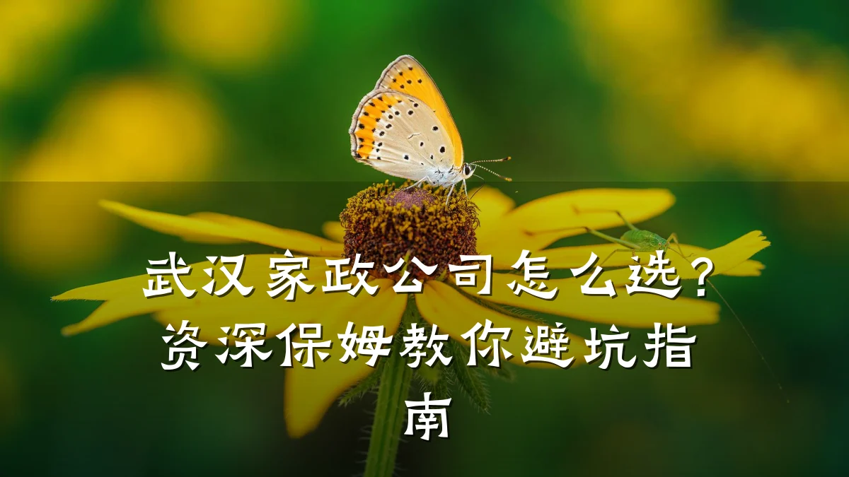 武汉家政公司怎么选？资深保姆教你避坑指南