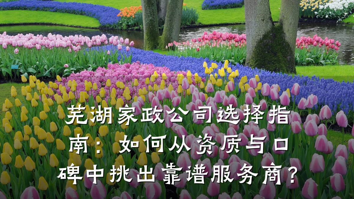 芜湖家政公司选择指南：如何从资质与口碑中挑出靠谱服务商？