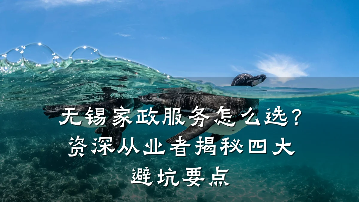 无锡家政服务怎么选？资深从业者揭秘四大避坑要点