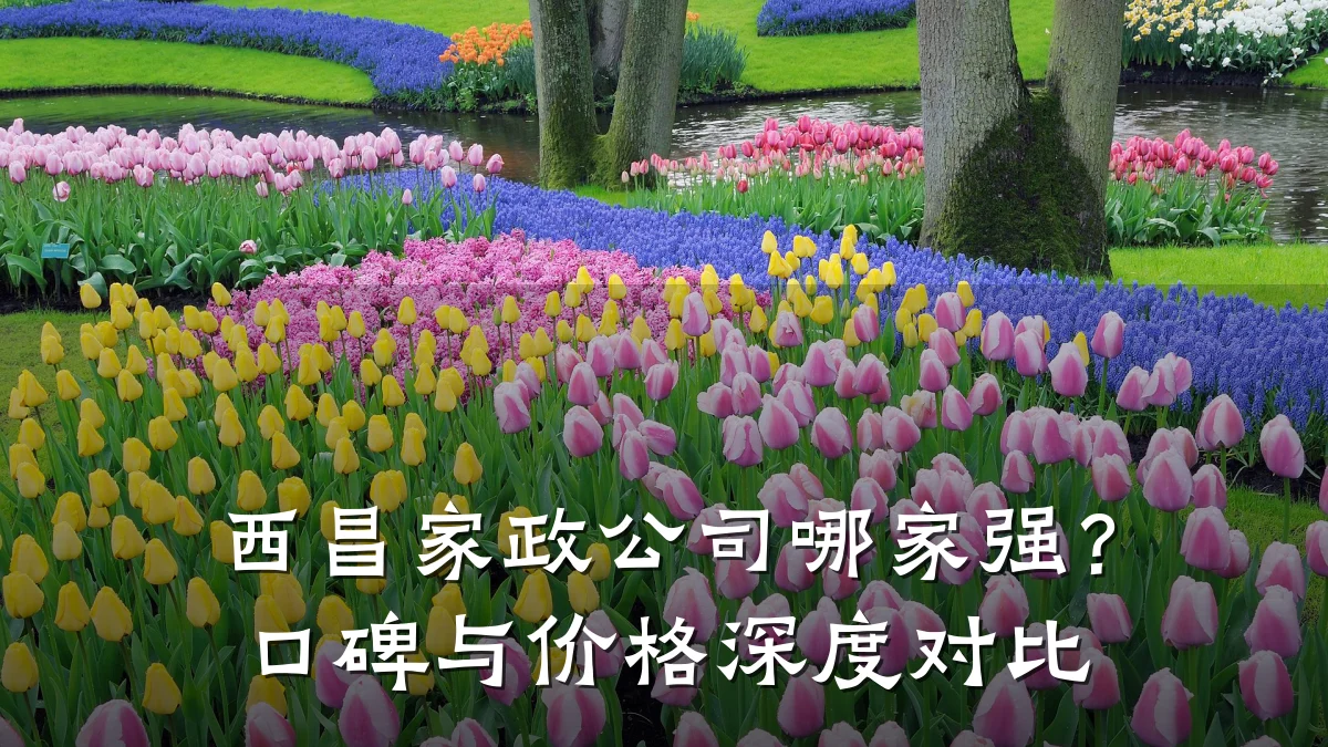 西昌家政公司哪家强？口碑与价格深度对比