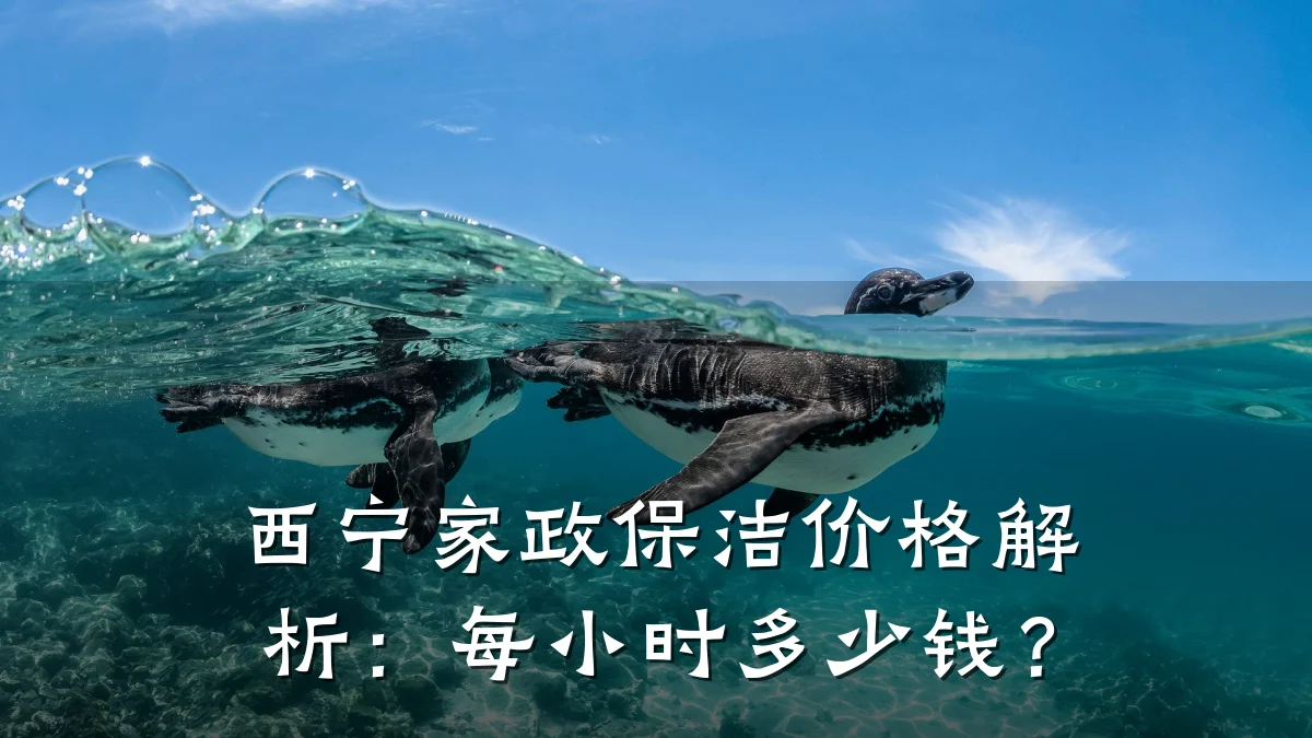 西宁家政保洁价格解析：每小时多少钱？