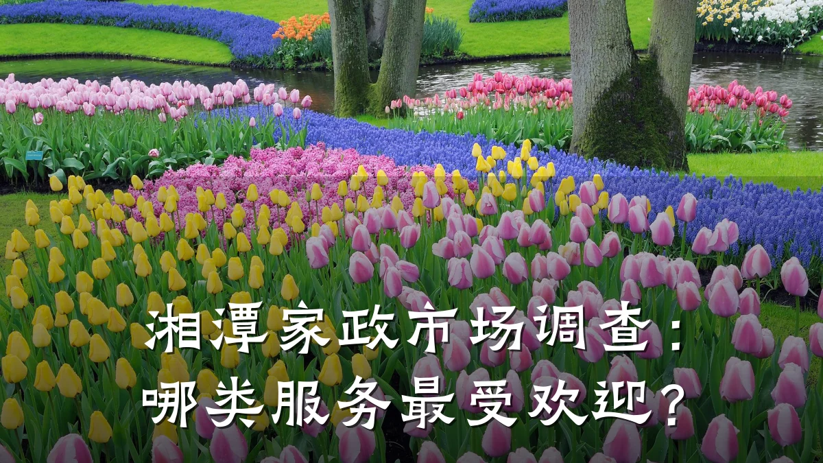 湘潭家政市场调查：哪类服务最受欢迎？