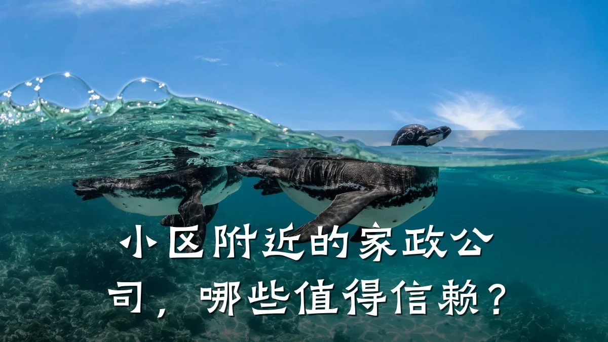 小区附近的家政公司，哪些值得信赖？