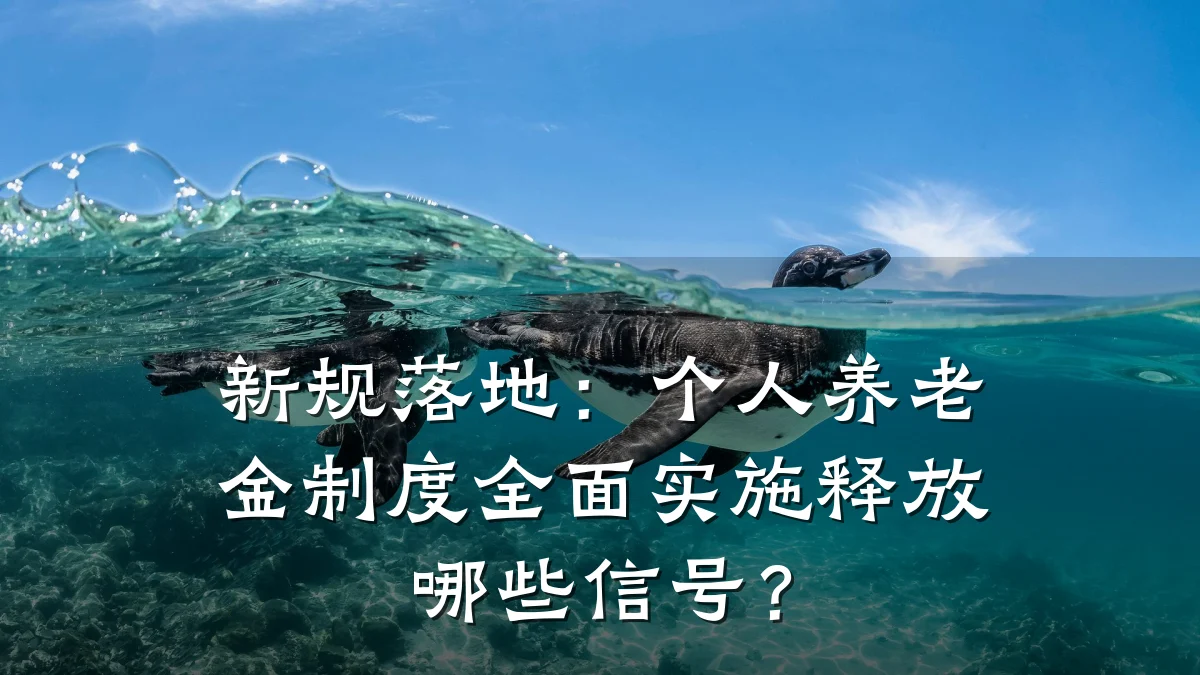 新规落地：个人养老金制度全面实施释放哪些信号？