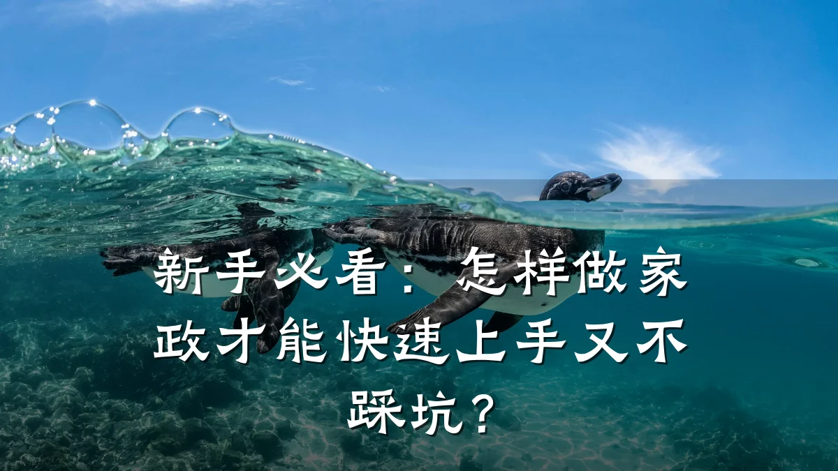 新手必看：怎样做家政才能快速上手又不踩坑？