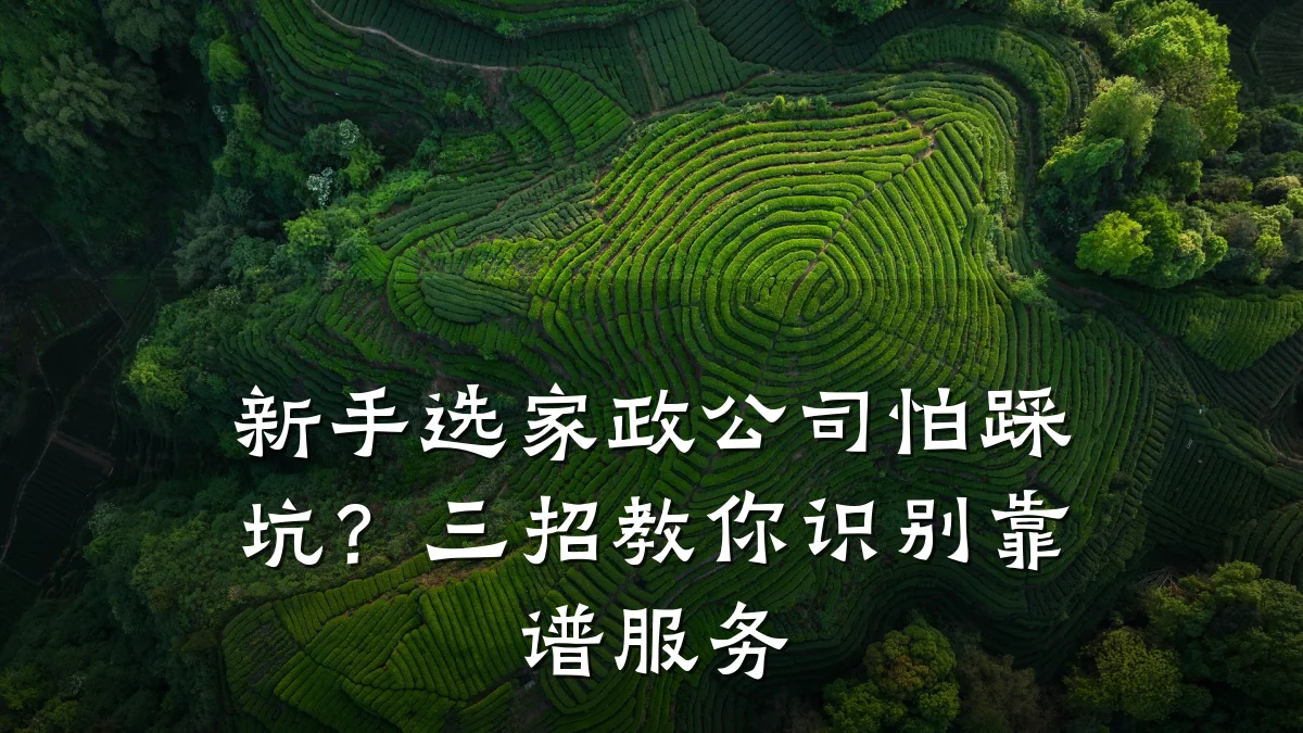 新手选家政公司怕踩坑？三招教你识别靠谱服务