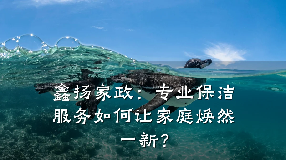 鑫扬家政：专业保洁服务如何让家庭焕然一新？