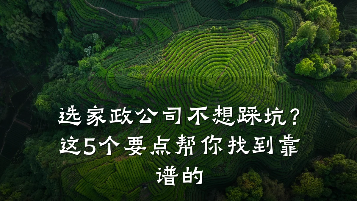 选家政公司不想踩坑？这5个要点帮你找到靠谱的