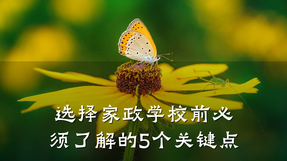 选择家政学校前必须了解的5个关键点