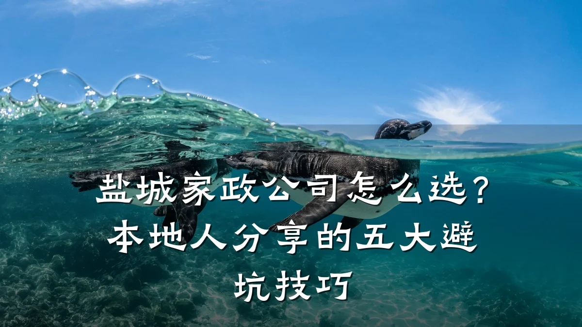 盐城家政公司怎么选？本地人分享的五大避坑技巧